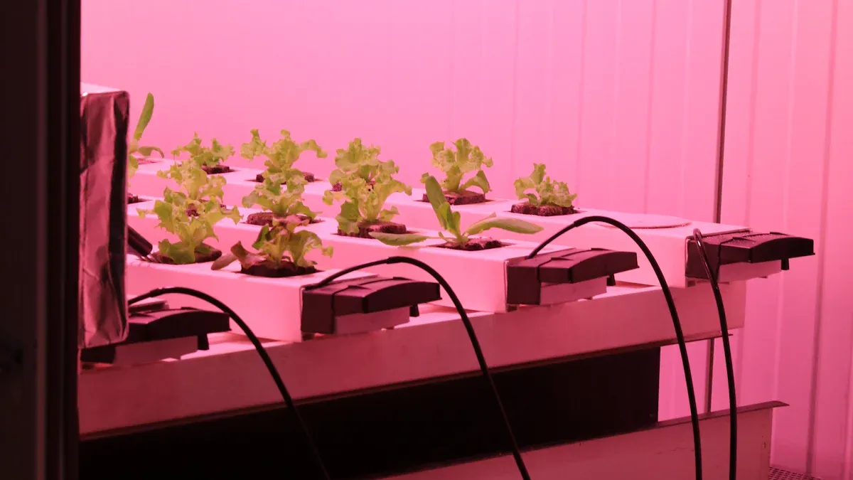 Czy pionowe oświetlenie do uprawy naprawdę może pomóc Twoim roślinom lepiej rosnąć?